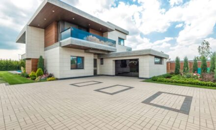 Radhakishan Damani Net Worth 2025: A Deep Dive into His Wealth and Influence