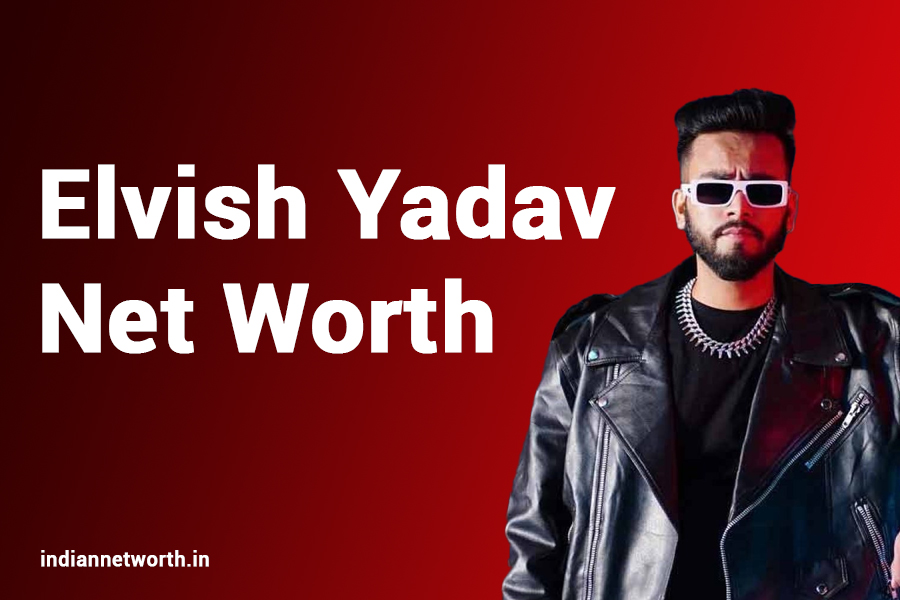 Elvish Yadav Net Worth 2025: A Comprehensive Analysis