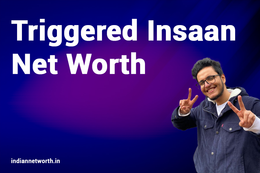 Triggered Insaan Net Worth 2025: An In-Depth Look at His Wealth and Financial Journey
